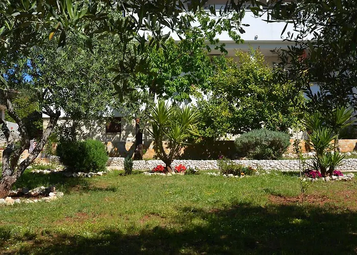 Apartments Maslina