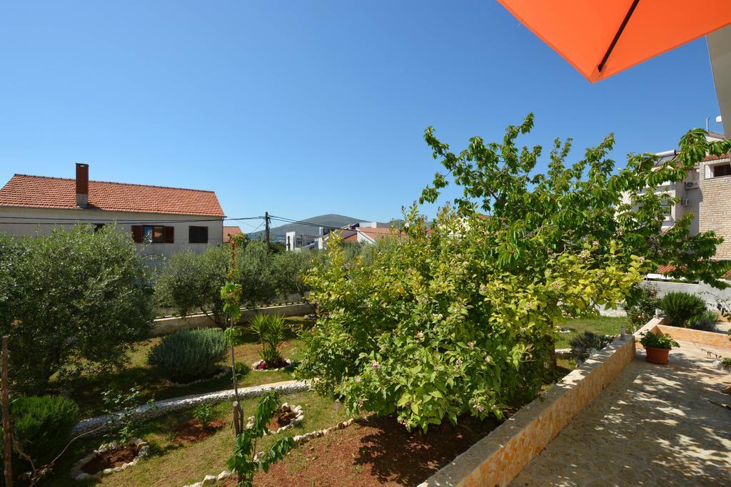 Maslina Trogir