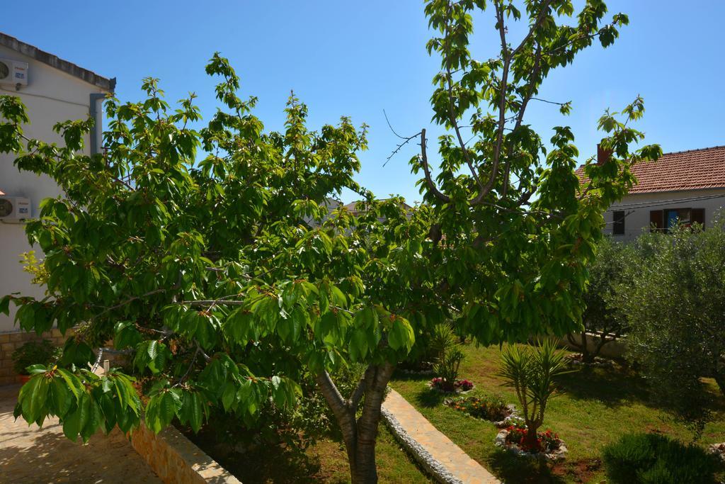 Apartma Maslina
