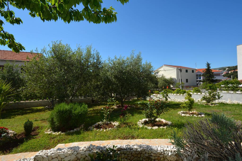 Apartment Maslina *