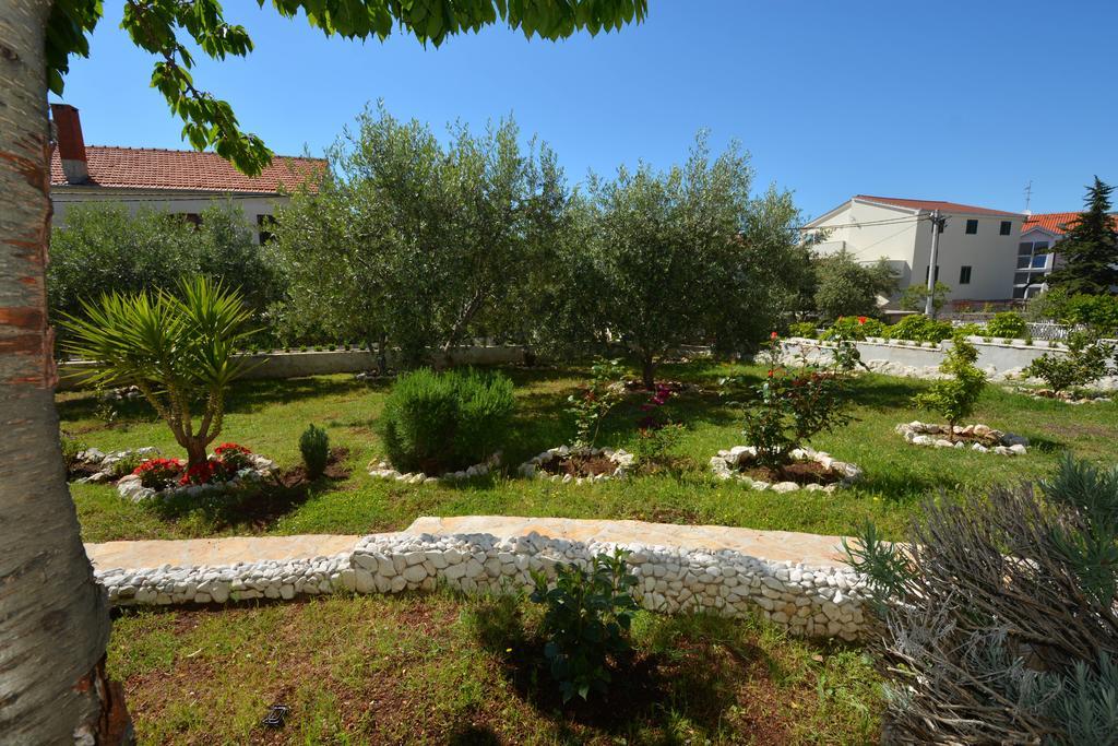 Apartment Maslina *