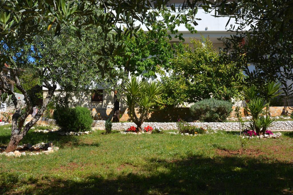 Apartment Maslina Trogir