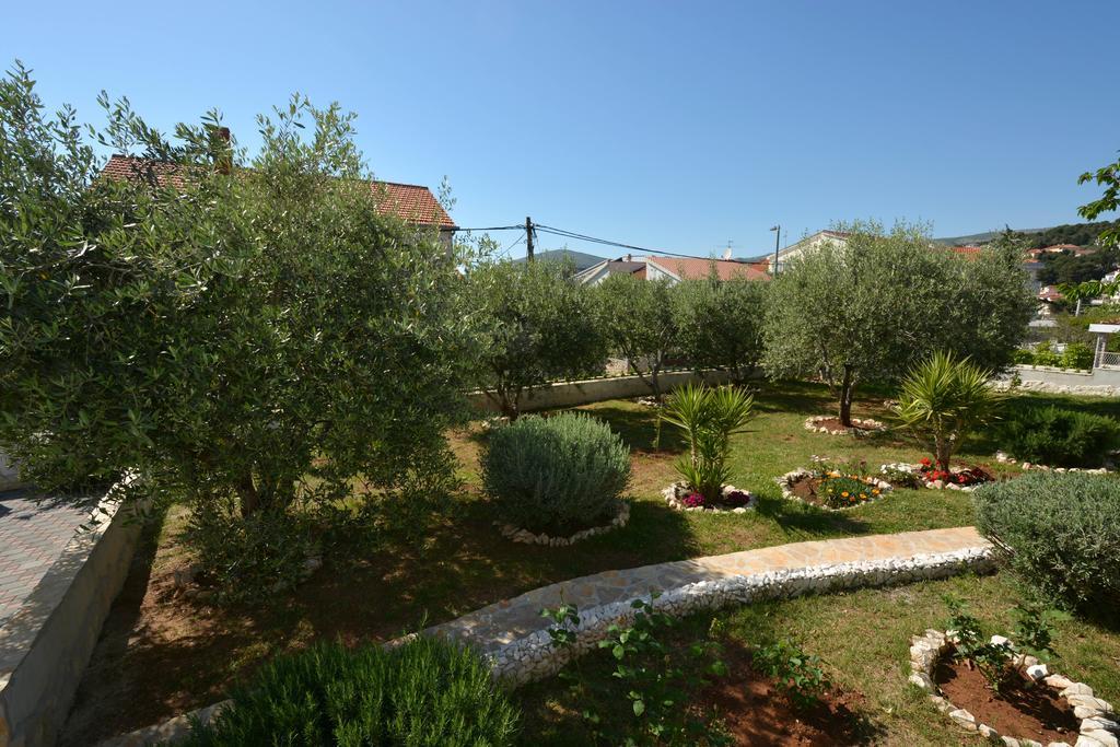 Maslina Trogir